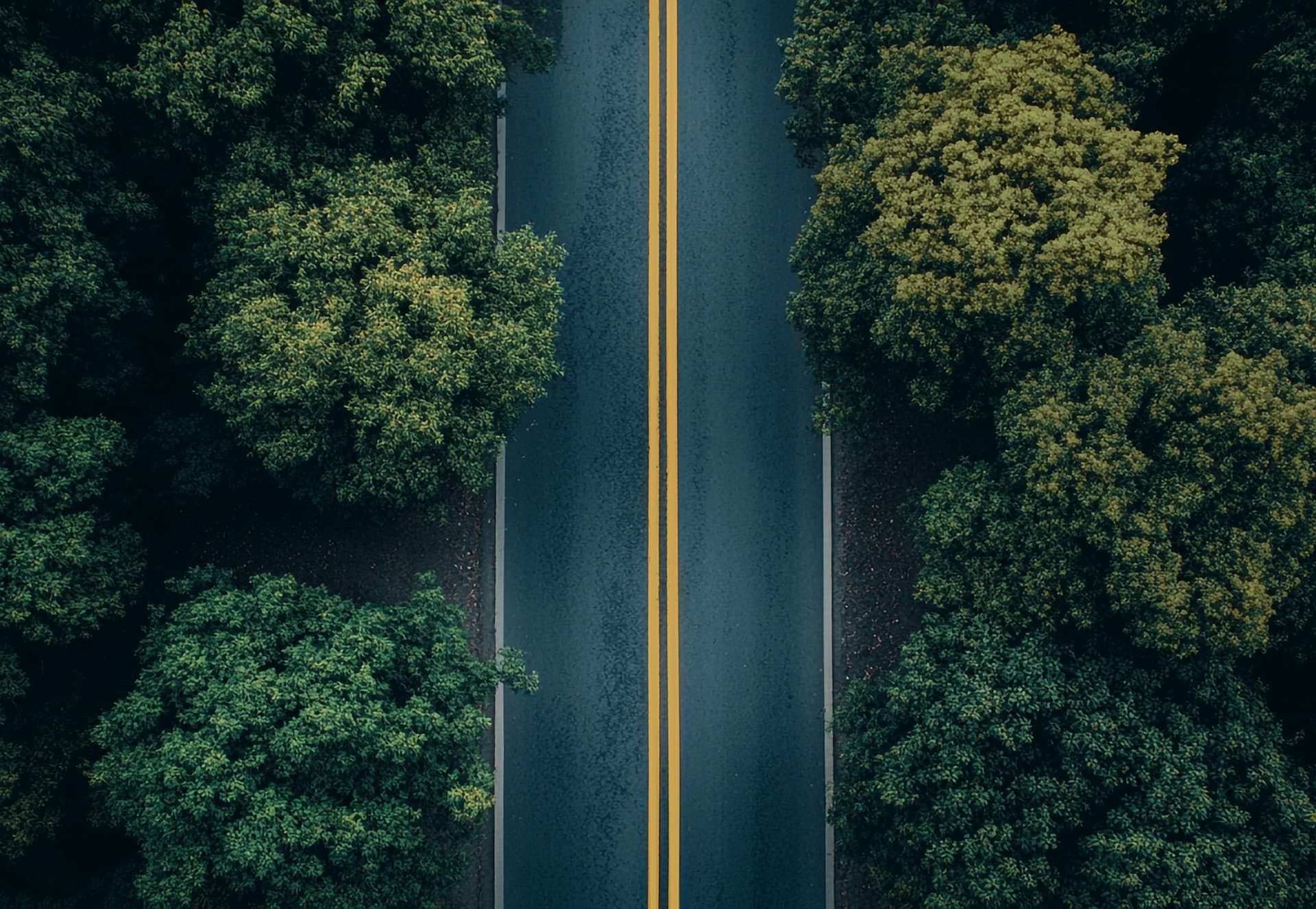 Luxury Transportation Banner